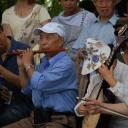 Diverse muziekoptredens in het park