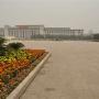 Bloemperkje met op de achtergrond het Chinese nationale museum