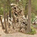Bomen en vreemde rotsen in de Qianlong tuin