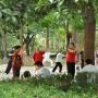 Dansen in het park