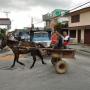 Traditioneeel vervoer in Pinar del Rio