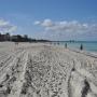 Het mooie strand en de zee bij Varadero