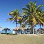 Palmbomen en parasols aan het strand