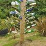 'Flessenboom' in de tuin