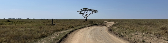 De naam Serengeti is afgeleid van het Masai woord 'Siringet' wat 'eindeloze vlaktes' betekent
