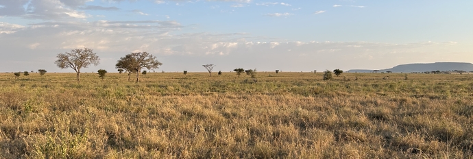 Nog zo'n schitterend uitzicht over de Serengeti