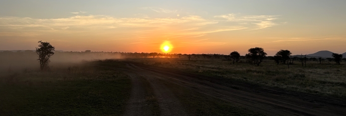 Zonsondergang op de Serengeti