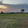 Zonsondergang boven de Serengeti gezien vanuit de tent