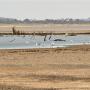 Wandeling langs het Eyasi Meer