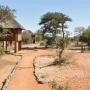 Het nThambo Tree Camp