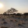 Zonsopkomst in het Onguma Game Reserve