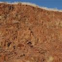 Organ Pipes