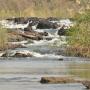 Verwacht bij de Popa Falls geen water dat met donderend geraas meter naar beneden stort