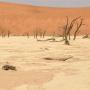 Nog meer Deadvlei