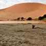 Waterplas aan de voet het Big Mamma duin