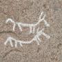 De tekening met de 2 paarden waar Hästhallen naar vernoemd is